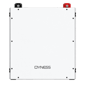 Batería de Litio Dyness DL5.0C
